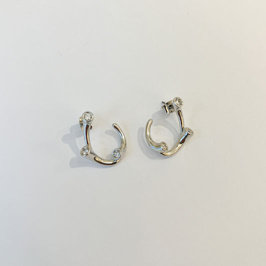 Earrings #17