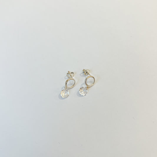 Earrings #20