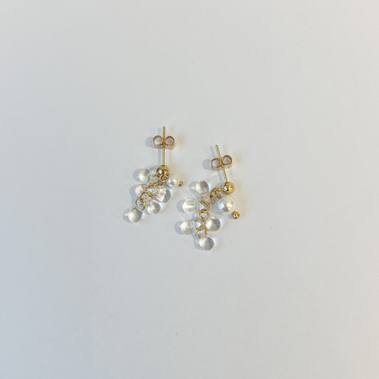 Earrings #23