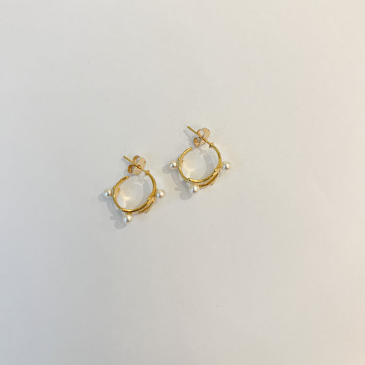 Earrings #30