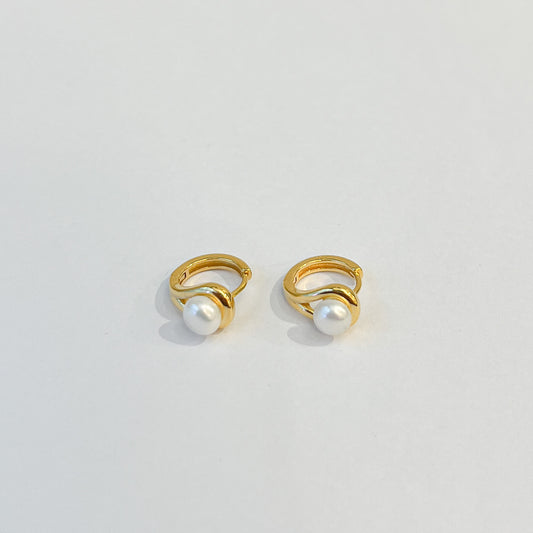 Earrings #32