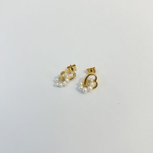 Earrings #37