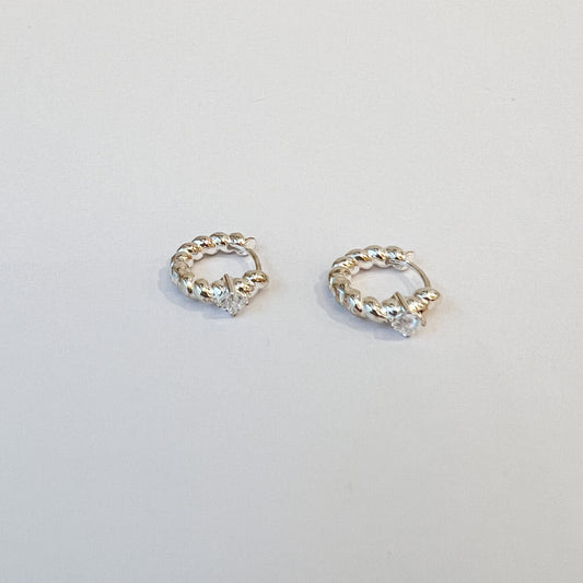 Earrings #21