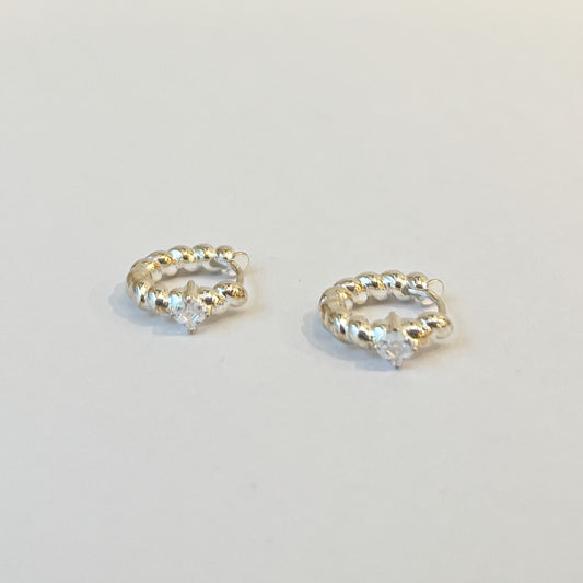 Earrings #21