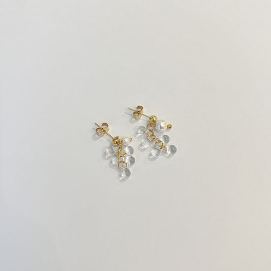 Earrings #23