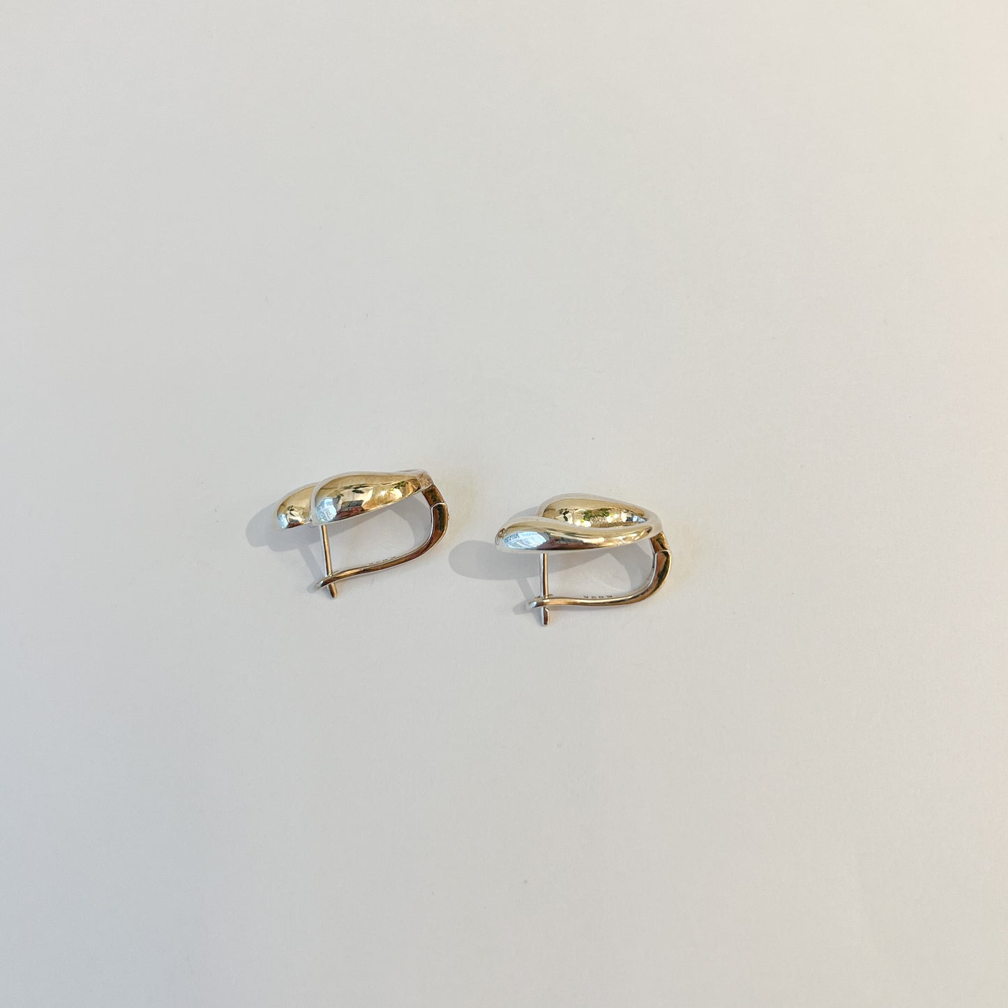 Earrings #27