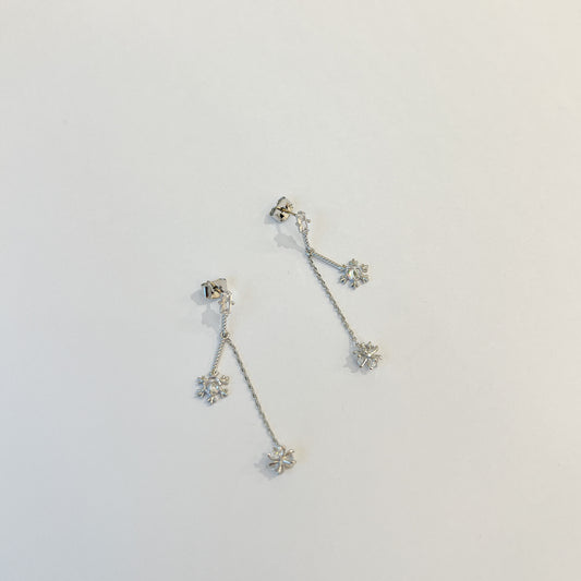 Earrings #28