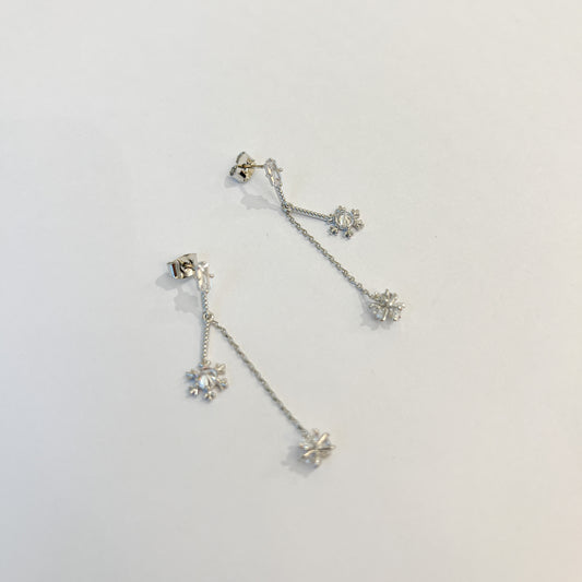Earrings #28