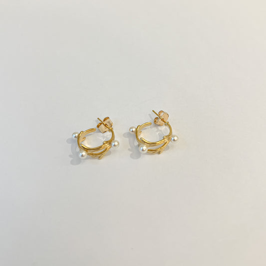 Earrings #30