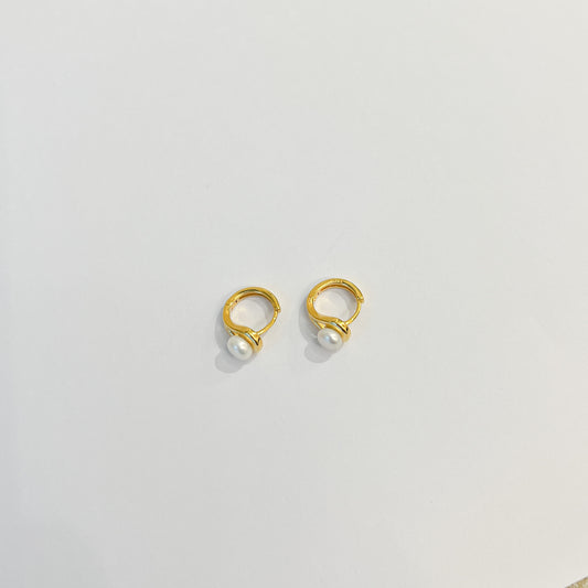 Earrings #32