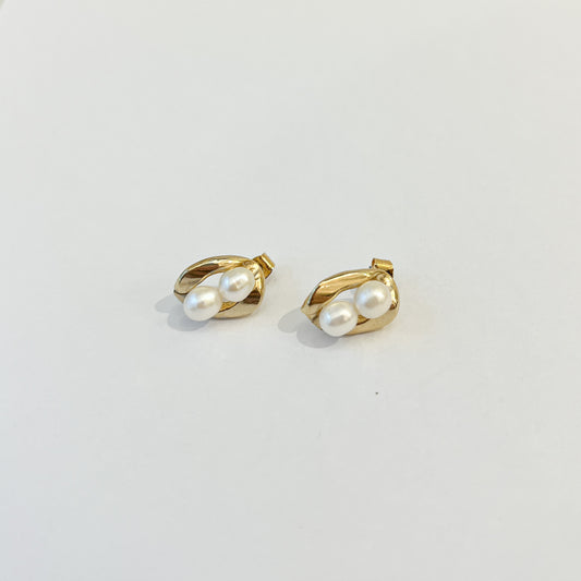 Earrings #36