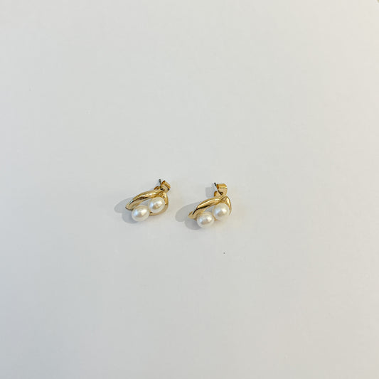 Earrings #36