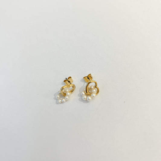 Earrings #37