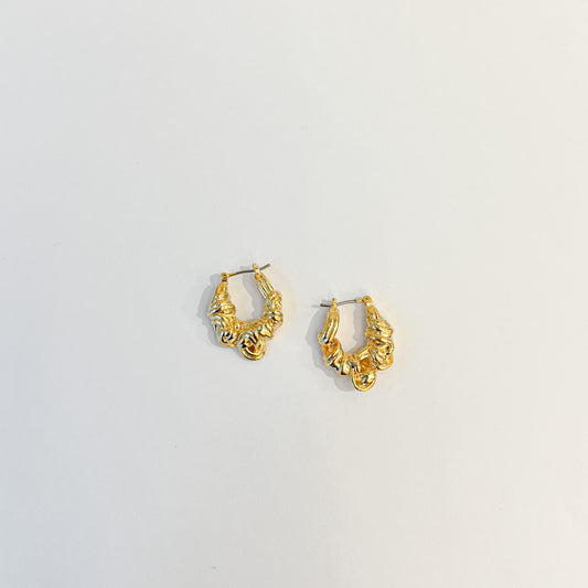 Earrings #40