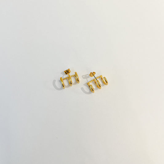 Earrings #41