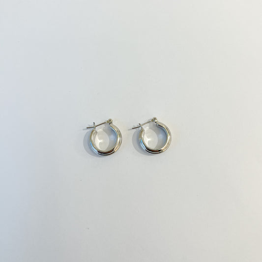 Earrings #43