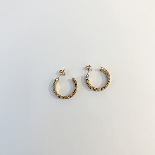 Earrings #44