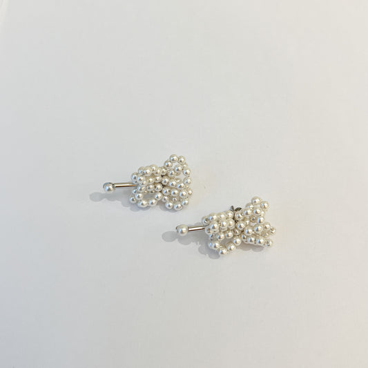 Earrings #45