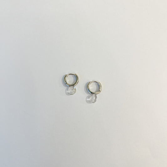 Earrings #47