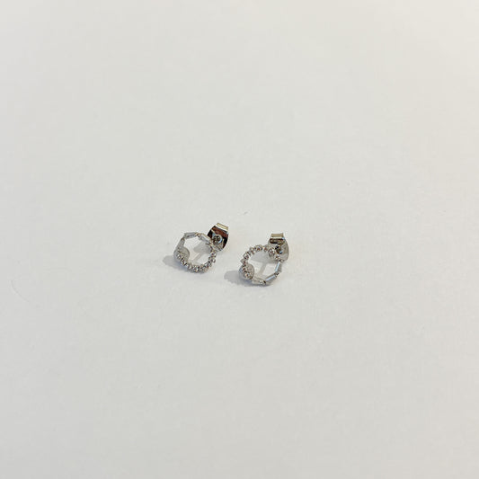 Earrings #48